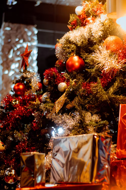 Christmas Celebration 2025